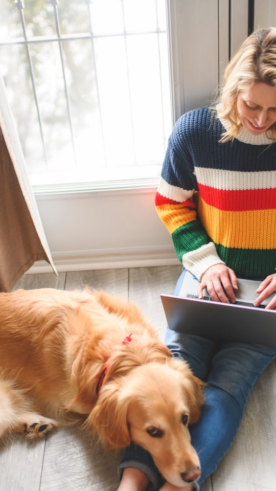a woman sitting on the floor with a dog and a laptop at The  Conley