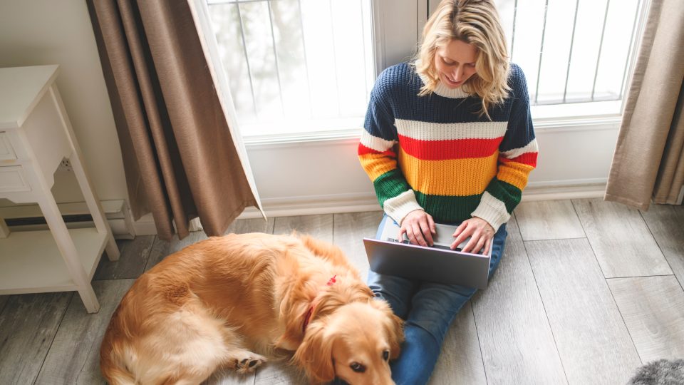 a woman sitting on the floor with a dog and a laptop at The  Conley